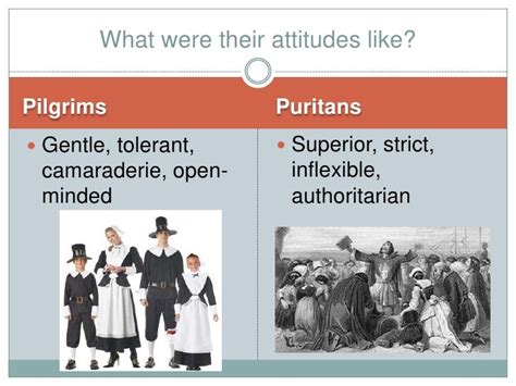 pilgrims  puritans