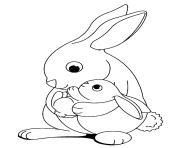 cute rabbit bunny coloring page printable