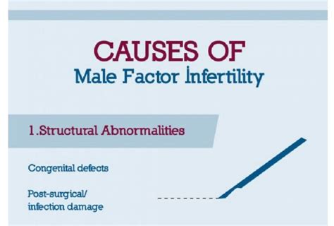 male infertility factors congenital exposured caused abnormal