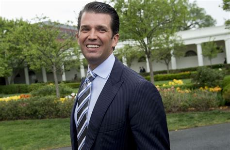 Donald Trump Jr S Russia Meeting May Have Been Legal But Thats A Low