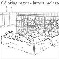 vegetable garden coloring pages timeless miraclecom