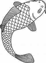 Fish Coloring Pages Fishing Boat Bass Koi Realistic Lure Coy Carp Printable Colouring Color Adult Salmon Getcolorings Japanese Colors Drawing sketch template