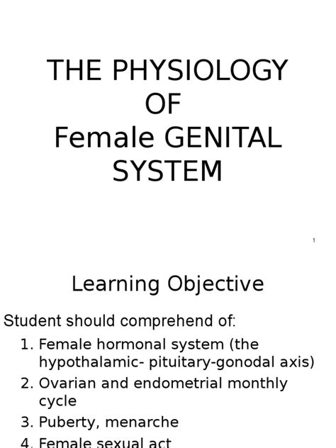 Physiology Of Female Genital 2015 Final Menstrual Cycle