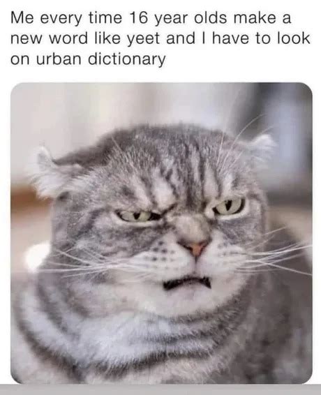 Urban Dictionary Meme By Vadersdad Memedroid