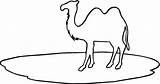 Coloring Clipartbest Bactrian Camel Outline Super Clipart sketch template