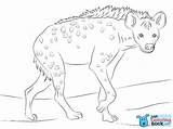 Hyena Coloring Printable Pages Color Choose Board sketch template