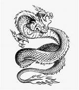 Dragon Tattoo Japanese Drawing Stencil Chinese Sketch Stencils Tattoos Deviantart Dragons Ideeën Line Drawings Designs Asian Getdrawings Printable Wrist Draak sketch template