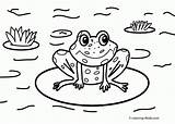 Coloring Pages Frog Nature Drawing Scenes Frogs Sheets Pond Cartoon Kids Printable Coqui Color House Toad Cycle Life Print Around sketch template