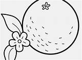 Coloring Pages Oranges Popular sketch template