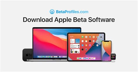 sign   apple beta     software