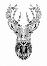 Coloring Reindeer Christmas Zentangle Color Pattern Pages Beautiful Adult Print Kids Adults sketch template