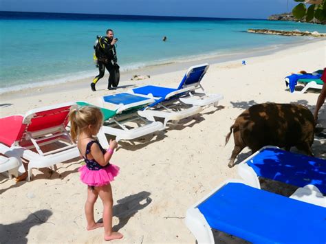 de leukste kindvriendelijke stranden op curacao