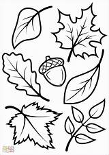 Autumn Sukarame sketch template