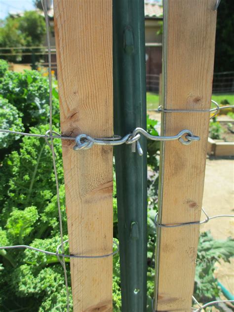andies  fence  simple gates removes easily  gardening andies