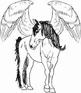 Coloring Pegasus Horse Pages Flying Printable Baby Template Getdrawings Adult Adults Getcolorings Color sketch template