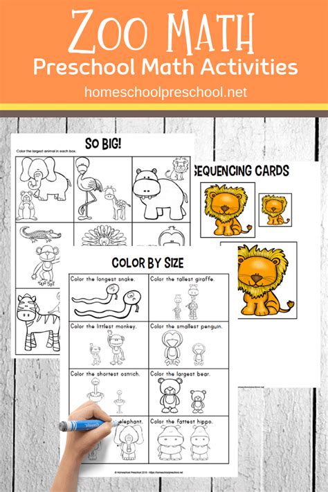 zoo math worksheet  preschool  homeschool students  practice