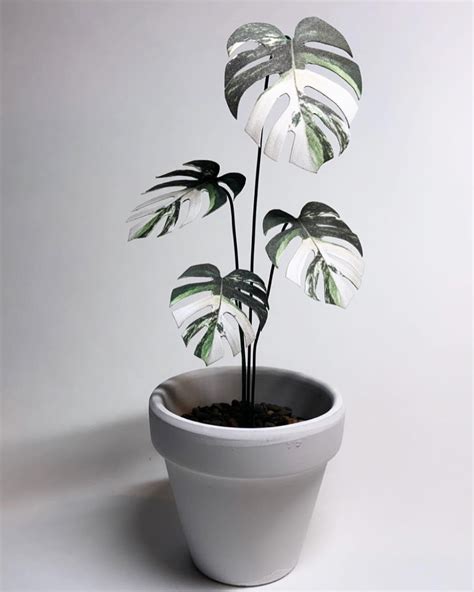 mini paper variegated monstera albo artificial plant etsy