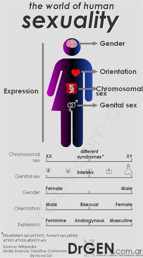 Human Sexuality Infographic Paperblog