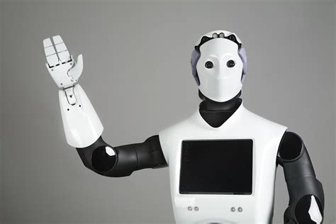 humanoid robots  present  future applications