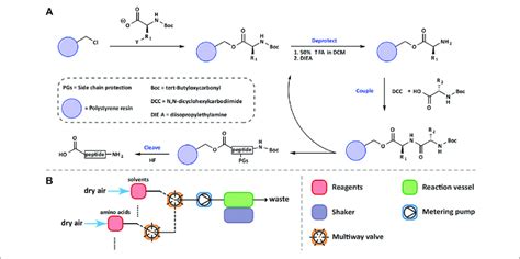 schematic representation  boc spps     automated