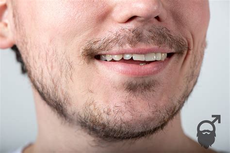 stryx   fix  patchy beard  proven ways