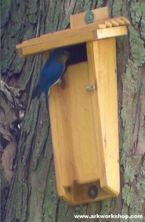sparrow resistant bluebird house slot entrance promoelectroluxicon