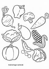 Essen Verdure Gemüse Ausmalbild Malvorlage Ausmalen Obst Mewarnai Sayuran Kinderbilder Bello Tk Trinken Gemuse Halaman Pinnwand sketch template