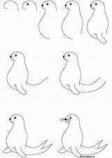Drawing Seal Step Drawings Draw Animal Easy Doodle Seehund çizimler Kids Cute Simple Zeichnen Foca Cartoon Kolay Learn Sketches Visit sketch template