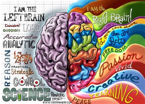 brain art