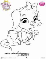 Palace Pets Coloring Pages Princess Getcolorings Getdrawings sketch template