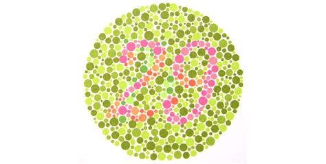 One Page From The Well Known Ishihara Color Vision Test Book People