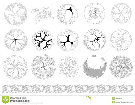 plan view tree graphics images photoshop trees plan view graphic