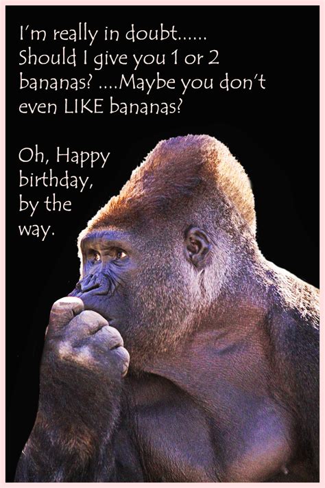 printable birthday cards  funny