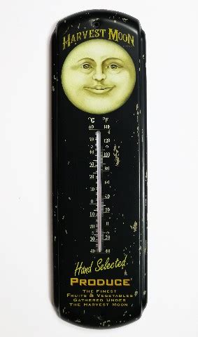 harvest moon produce metal thermometer garden green house