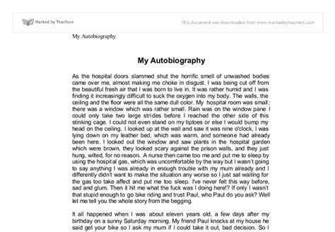 sample autobiography essay university webcsulbwebfccom