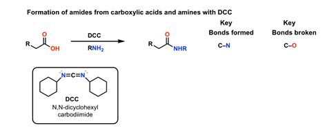 formation  amides  dcc master organic chemistry