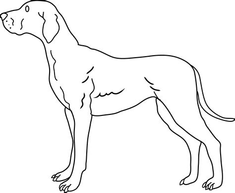 dog coloring page  clip art