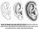 Ears Worksheet Ec0 sketch template