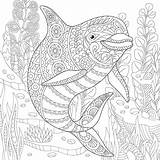 Coloring Pages Adult Dolphin Underwater Ocean Adults Zentangle Book Printable Life Drawing Stylized Doodle Seaweed Cute Sketch Print Animals Stress sketch template
