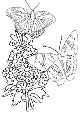 Forget Coloring Pages sketch template