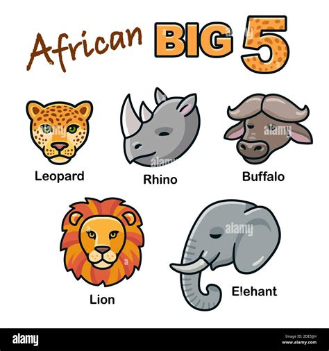 african big  animal heads cartoon set lion leopard elephant