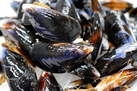 fresh mussels marrfish fish seafood home delivery