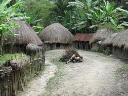 Rumah adat Suku Dani, Papua, papua exotic indonesian