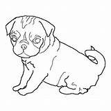 Pug Outline Dog Coloring Drawing Pages Dogs Drawings Face Pugs Color Template Line Cute Clipart Print Cliparts Sheets Size Luna sketch template