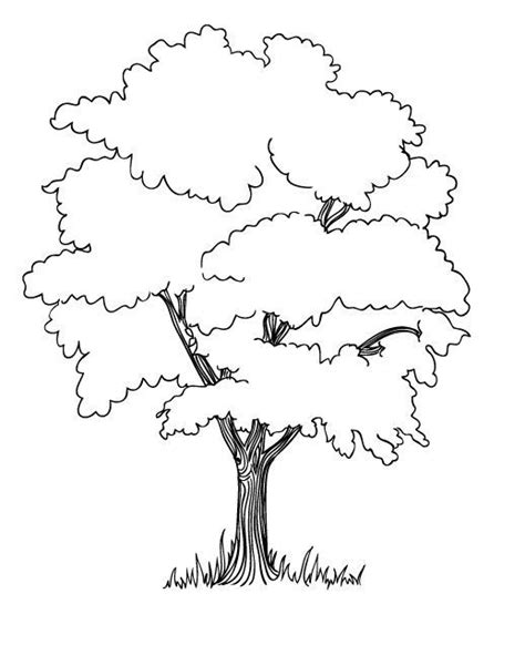 black  white drawing   tree