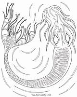 Traceable Coloring Sherpa Choose Board Mermaid Cinnamon Cooney sketch template