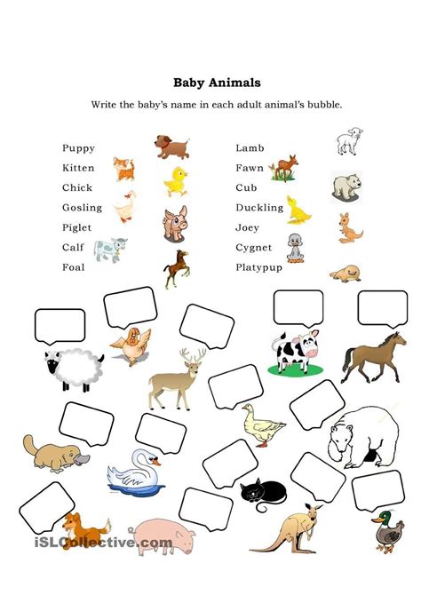 awesome printable worksheets baby animals     youre