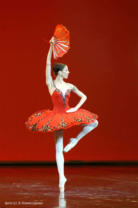 Russian Red Ballet Beautiful Classical Ballet Tutu Ballet Tutu
