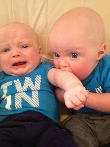 aww funny baby pictures twin babies pictures twin humor