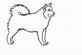 Mops Ausmalen Malvorlage Scoredatscore Genial Schnauzer Katzen Owalo sketch template